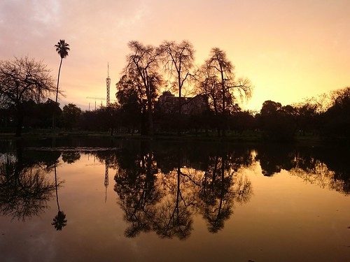 sony xperia santiago chile parqueohiggins atardecer sunset horadorada goldenhour reflejo reflex fotografía photography