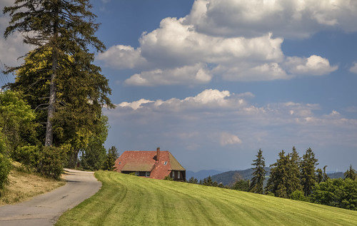 grass road track tree trees mountain mountains sky clouds wurtemberg badenwurtemberg germany europe summer triberg landscape landschaft natur nature schwarzwald deutschland europa canon eos canon5d scenery scenic house rural blackforest forest