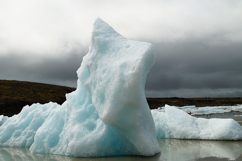 Más glaciares, icebergs, Skaftafell, Svartifoss y Skeiðarársandur - Islandia en grupo organizado (56)