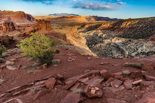 capitolreef desert hiking nationalpark red rock travel utah portfolio torrey unitedstates