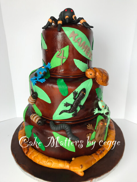 Cake from CAKE Matters by Cegge
