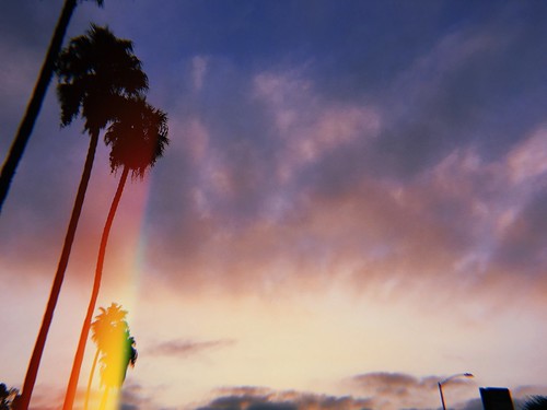 きれい 日の出 アメリカ ヤシの木 ヤシ ロサンゼルス カリフォルニア州 カリフォルニア westcoast palmtrees colorful bright clouds sunrise lax la ca cali socal southerncalifornia california