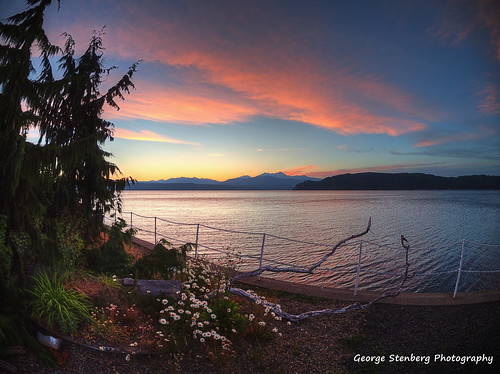 washingtonstate pacificnorthwest hoodcanal sunset twilight clouds water daisies