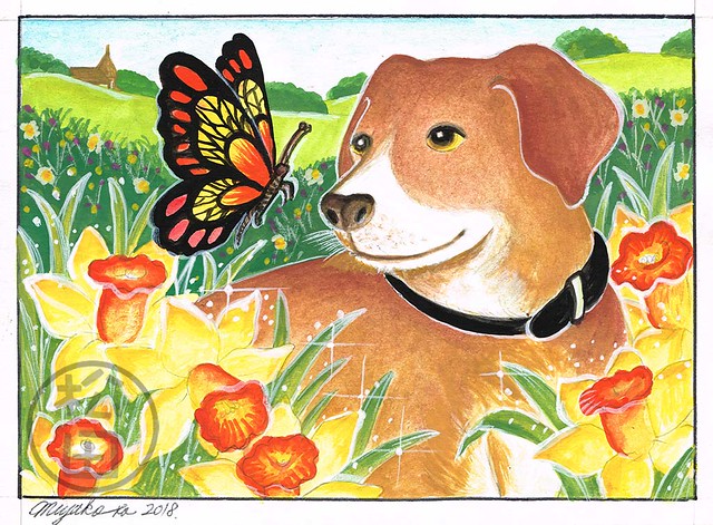 Dog with butterfly and narcisses in the countryside