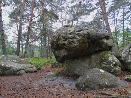 boulders rocks textures forest roches forêt forêtdefontainebleau gorgesdefranchard seineetmarne france 2018 rockwolf
