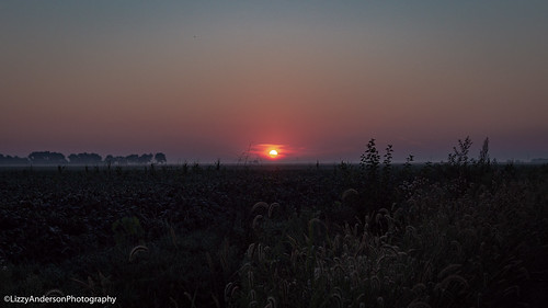woodriver york nebraska unitedstates us morning fog mist farm sunrise field sun