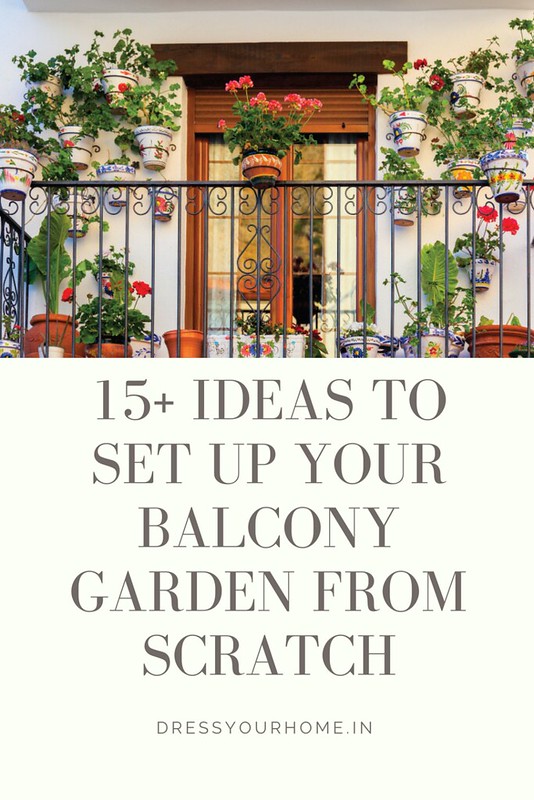 From the Experts: How to Set up Your Small  Balcony Garden from Scratch
