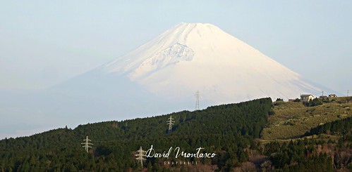 mountfuji 富士山 japan mountain forest trees snowcap snow tree sky sunrise