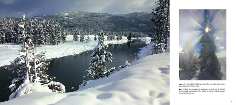 Sample Page of Winter Wonderland in Yellowstone