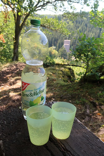 Wellness Getränk Birne & Melisse bei Trinkpause oberhalb der Frauenburg