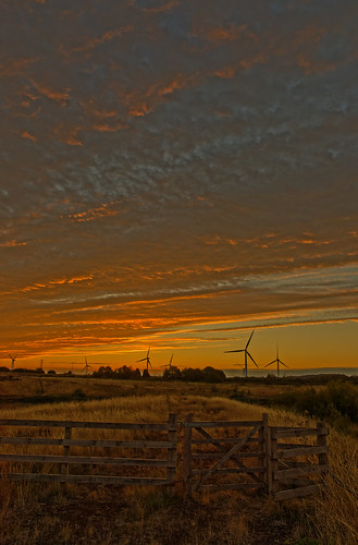 dawn sunrise morning windturbines fence gate landscape sky colourful northlincolnshire normanby normanbypark walkabout canon eos1dxmk2