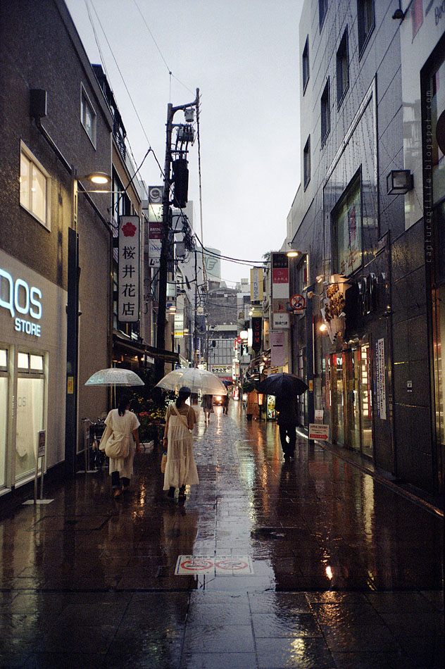 広島 雨