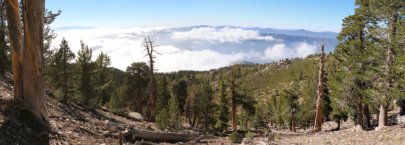 Panorama view west and north from the San Bernardino Peak Trail