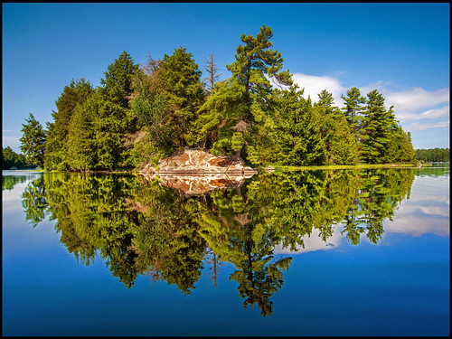 island pine trees lake noganosh reflections ontario canada