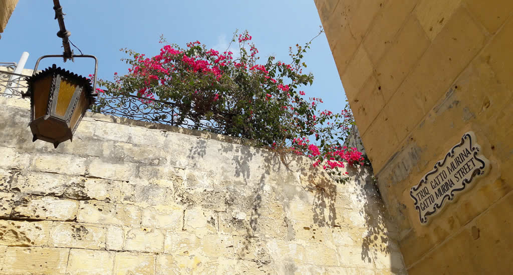 Malta in 25 foto's, word verliefd op de Mdina | Malta & Gozo
