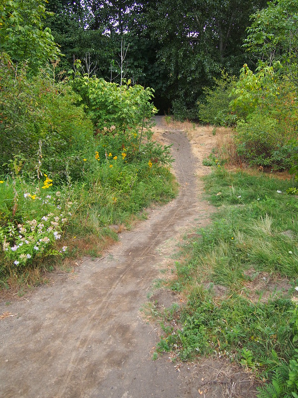 Codiga Park Path