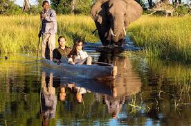 BOTSWANA, ZIMBABWE Y CATARATAS VICTORIA: Tras la Senda de los Elefantes - Blogs de Africa Sur - Parques Nacionales y reservas de Botswana: resumen y datos varios (8)