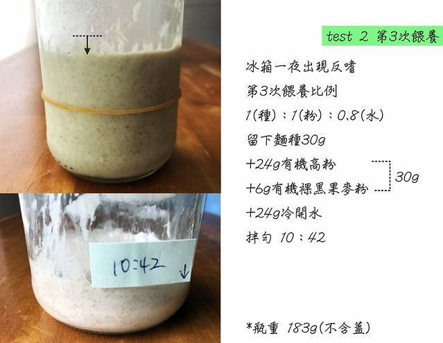 無花果酵母種test2d