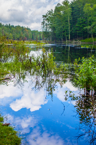 water reflections clouds sky trees landscape sullivancounty canon5dmkii tamron45mm