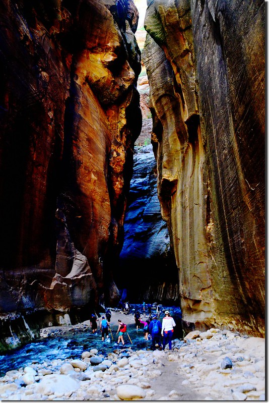 The Narrows, Zion National Park (29)