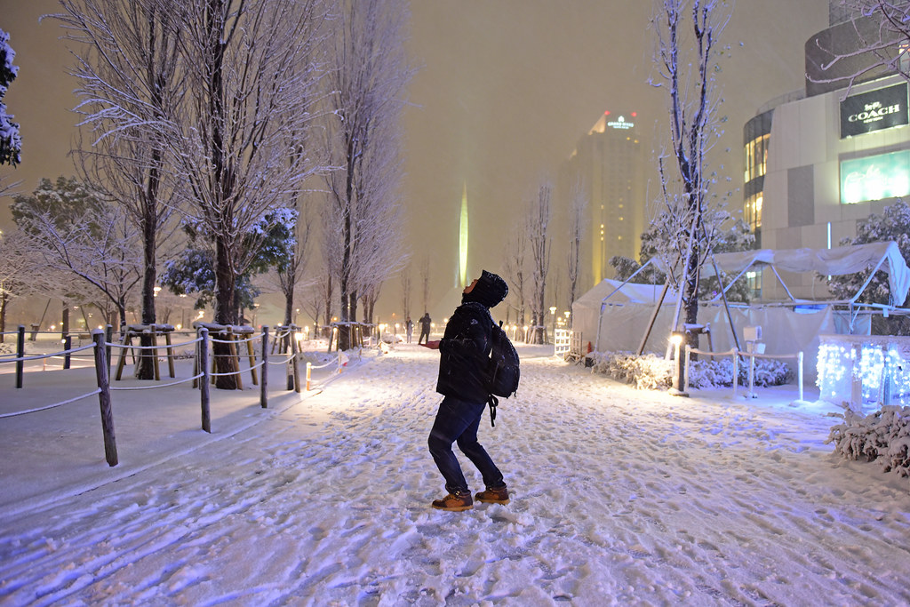 東京台場大雪