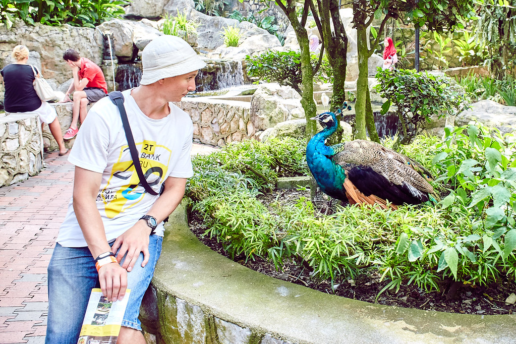 На перекладных по Азии. Куала-Лумпур и парк птиц