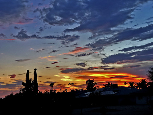 sunset arizona sky clouds silhouette cactus palmtrees color colors blue orange yellow cloud outdoor