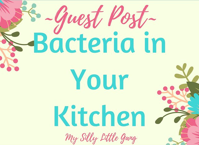 Guest Post Bacteria In Your Kitchen