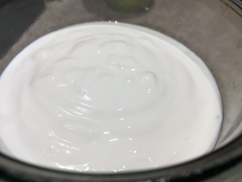 Yogurt w/o dry milk