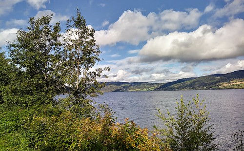 lakeside lake mjøsa view september sunny norwegianlandscape norwegianfjord norway