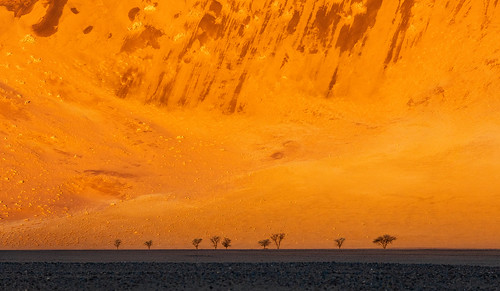 namibia namibnaukluftnationalpark namibdesert sossusvlei camelthorntrees sanddunes sunset landscape rainstorm waterstreaks scale