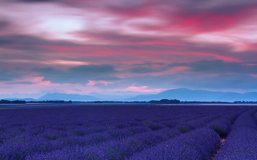 canoneos7d countryside hills mountains nature darblanc darblancphotography photography xavdarblanc xavdarblancphotography photo coloursshapesandmoods spring colour series daytime bluehour sunrise artphoto longexposure panorama clear clouds mist fog landscape lavender flowers france frenchalps provence alpesdehauteprovence valensole plateaudevalensole