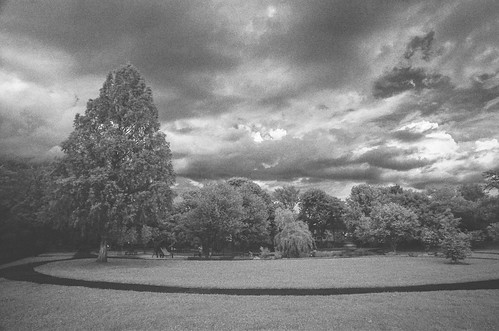 bw ir cloud film infrared tree tripod r72 blackandwhite monochrome arlington iso200