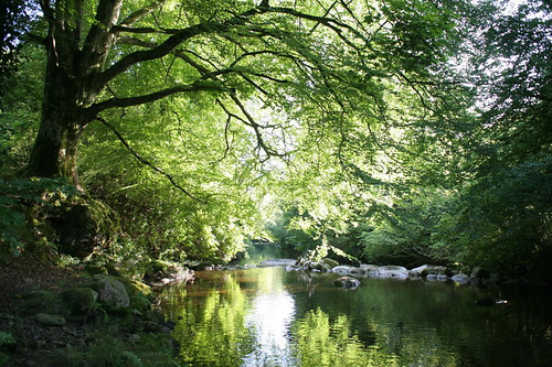 Mourne Country Park