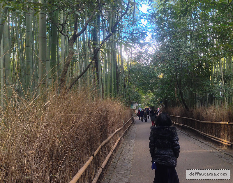 9 Hari Babymoon ke Jepang - Arashiyama Bamboo Grove