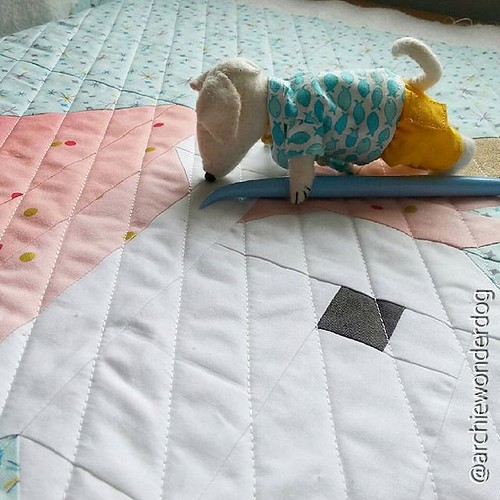 The quilt inspector (aka 'snoopervising'). The unicorn is half quilted and I'm off for some dinner and a lie down while Mini Archie carries out his inspection and makes a list of faults and queries. #Lisatheunicorn #MiniArchieTheWonderDog #theadventuresof