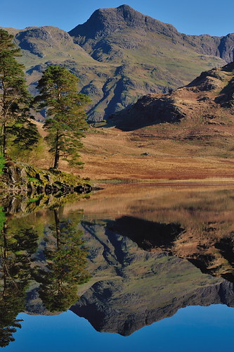 scotts pine reflections perfection bleatarn langdales tarn first light lake cumbria lakedistrict lakeland thelakes lakedistrictnationalpark nationaltrust fell fells cumbrian mountains landscape imagestwiston district national park countryside mountain still water reflection morning mirror blue cloudless englishlakedistrict lakes thelakedistrict reflected waterreflections sunrise dawn calm serene stupidoclock sidepike pikes greatlangdale littlelangdale unesco worldheritagesite polarizer cpl