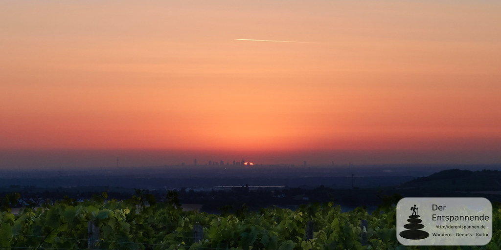 Sonnenaufgang über Weinbergen und Frankfurt