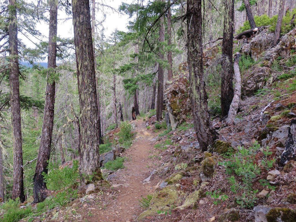 Elk Lake Creek Trail