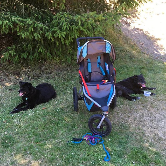At the park today, the girls are wisely opting to stay in the shade. 😎