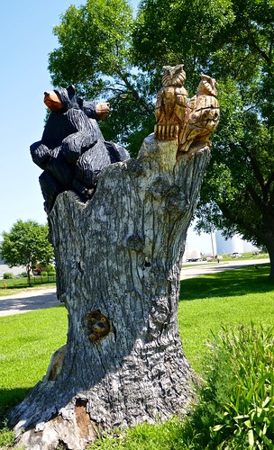 silvercreek nebraska parks citypark sculpture animalcarvings bears owls