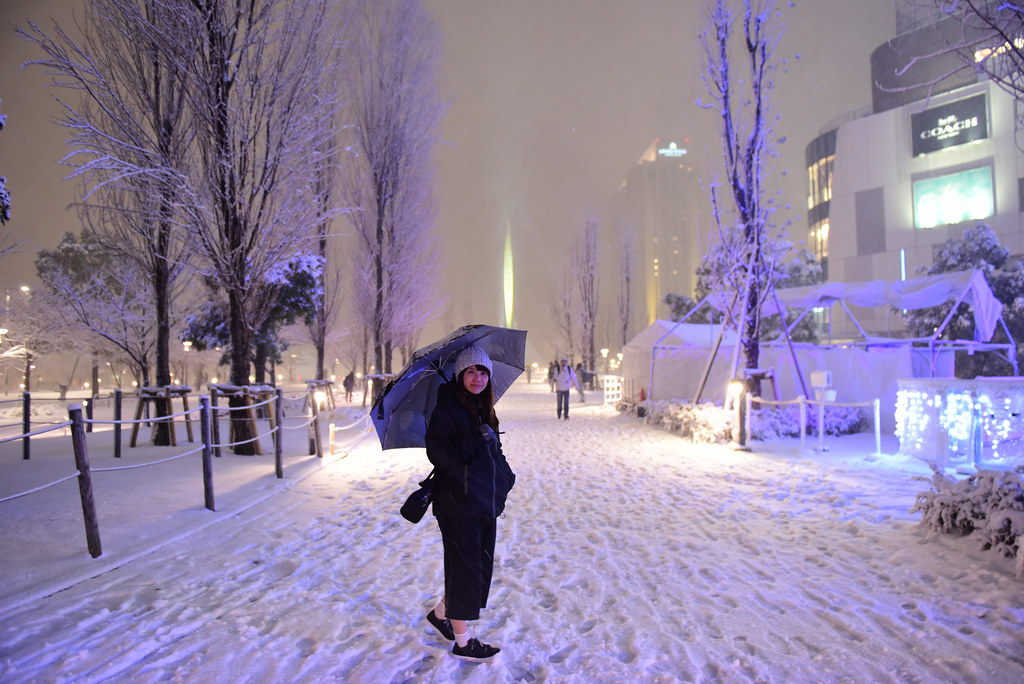 東京台場大雪