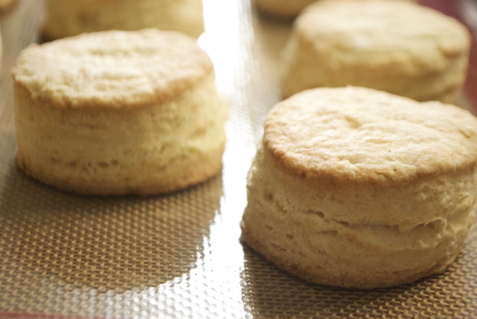 BA's Best Buttermilk Biscuits - Flaky, layered buttermilk biscuits.