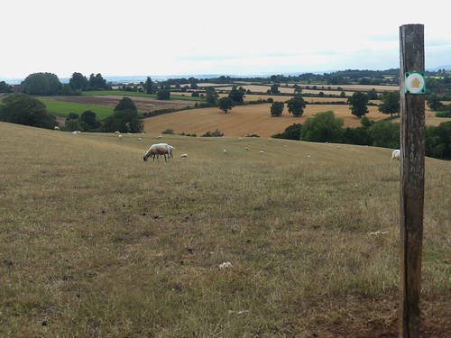 Sheepwalks Views