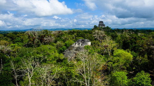 tikal guatemala centralamerica fujifilm fuji fujix xt2 landscape color scenery outdoor nature temple jungle sky green rainforest maya