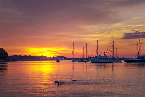 approved sunrise annapolis downtownannapolis outdoors maryland summer sky water orange yellow gold ducks sun nature annapolisyachtbasin waterfront sonyalpha sonyimages morning dawn birds boats sailboats masts annearundelcounty sunshine clouds