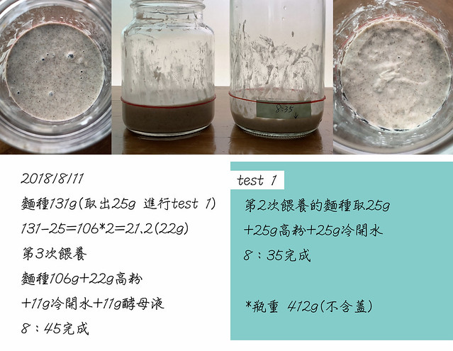 無花果酵母種D-test1