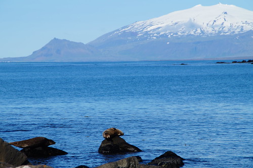 Viaje a Akureyri - Islandia en grupo organizado (10)