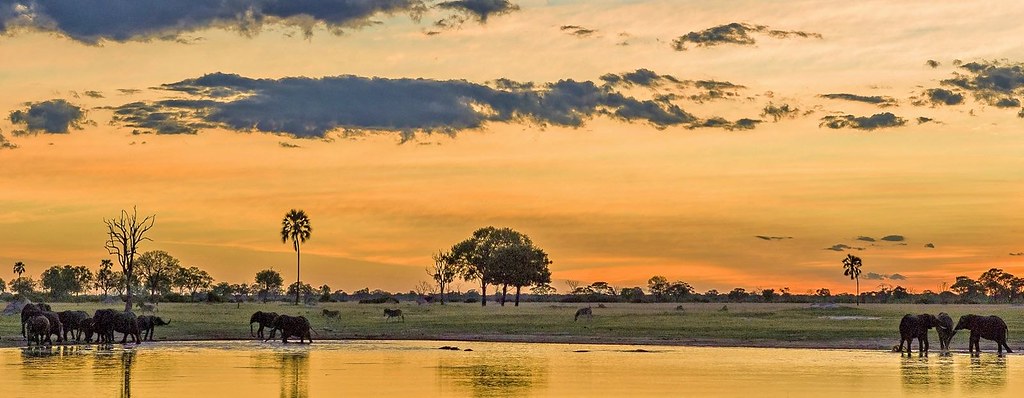 BOTSWANA, ZIMBABWE Y CATARATAS VICTORIA: Tras la Senda de los Elefantes - Blogs de Africa Sur - Parques Nacionales y reservas de Botswana: resumen y datos varios (20)