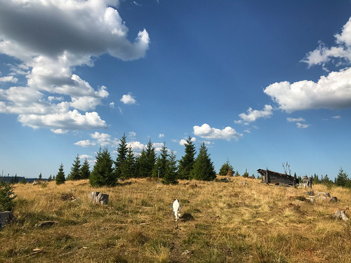 norway toten oppland hadeland norge trekking hiking lunnasæter jotunheimstien